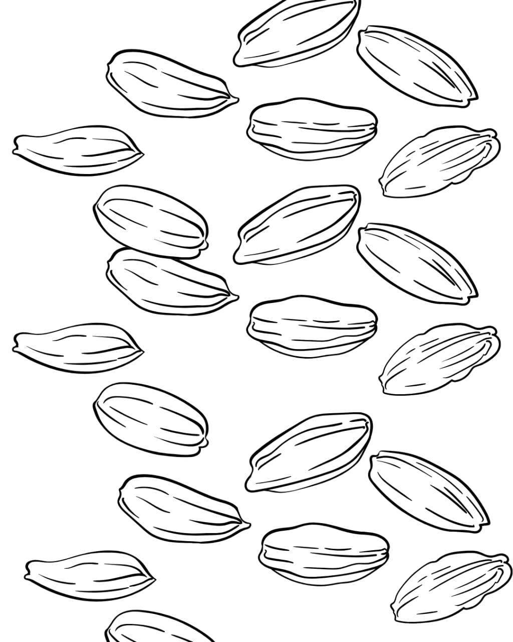 WhatsApp Image 2025-03-12 at 8.17.58 PM (1)