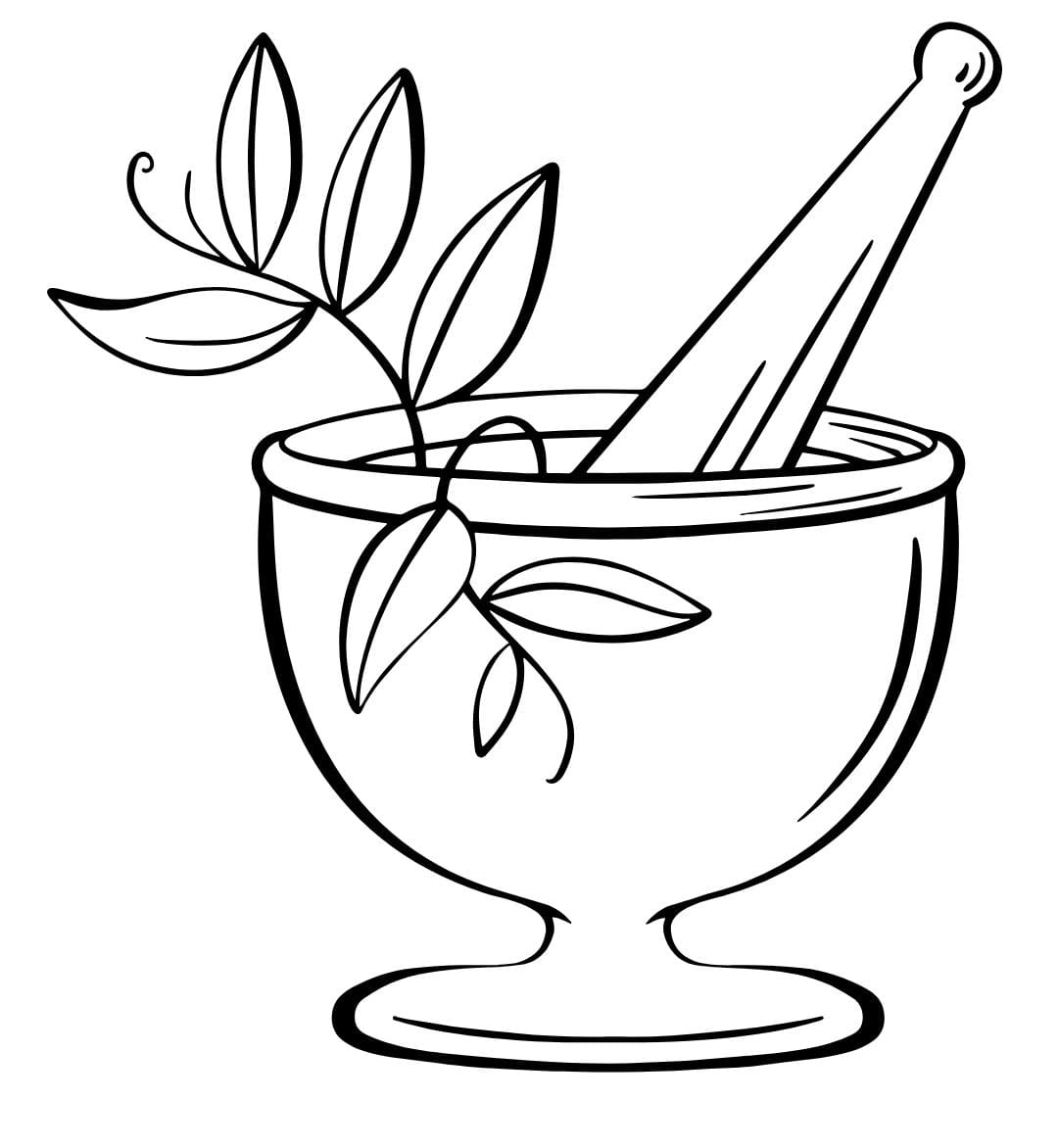 WhatsApp Image 2025-03-12 at 8.22.00 PM